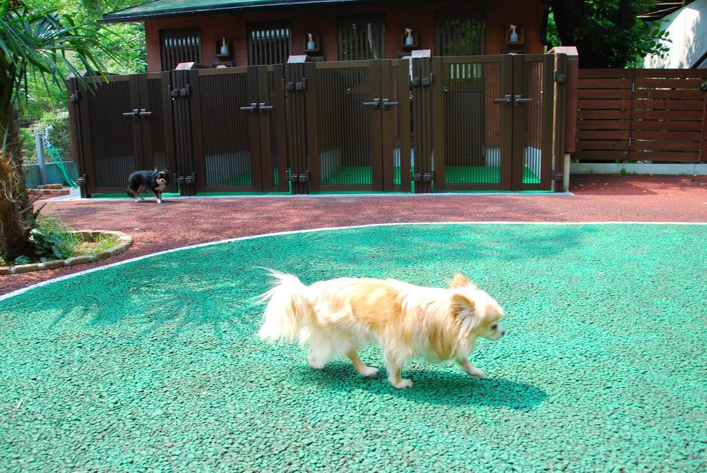 โอกุมิซุมะ ออนเซน Hotel Kaizuka ภายนอก รูปภาพ